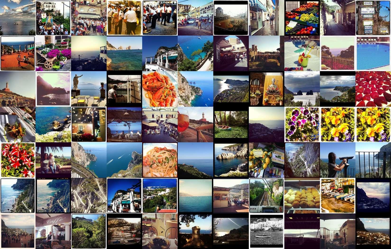 AboutMe banner for @capri