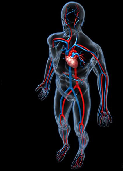 AboutMe banner for @cardiovascular
