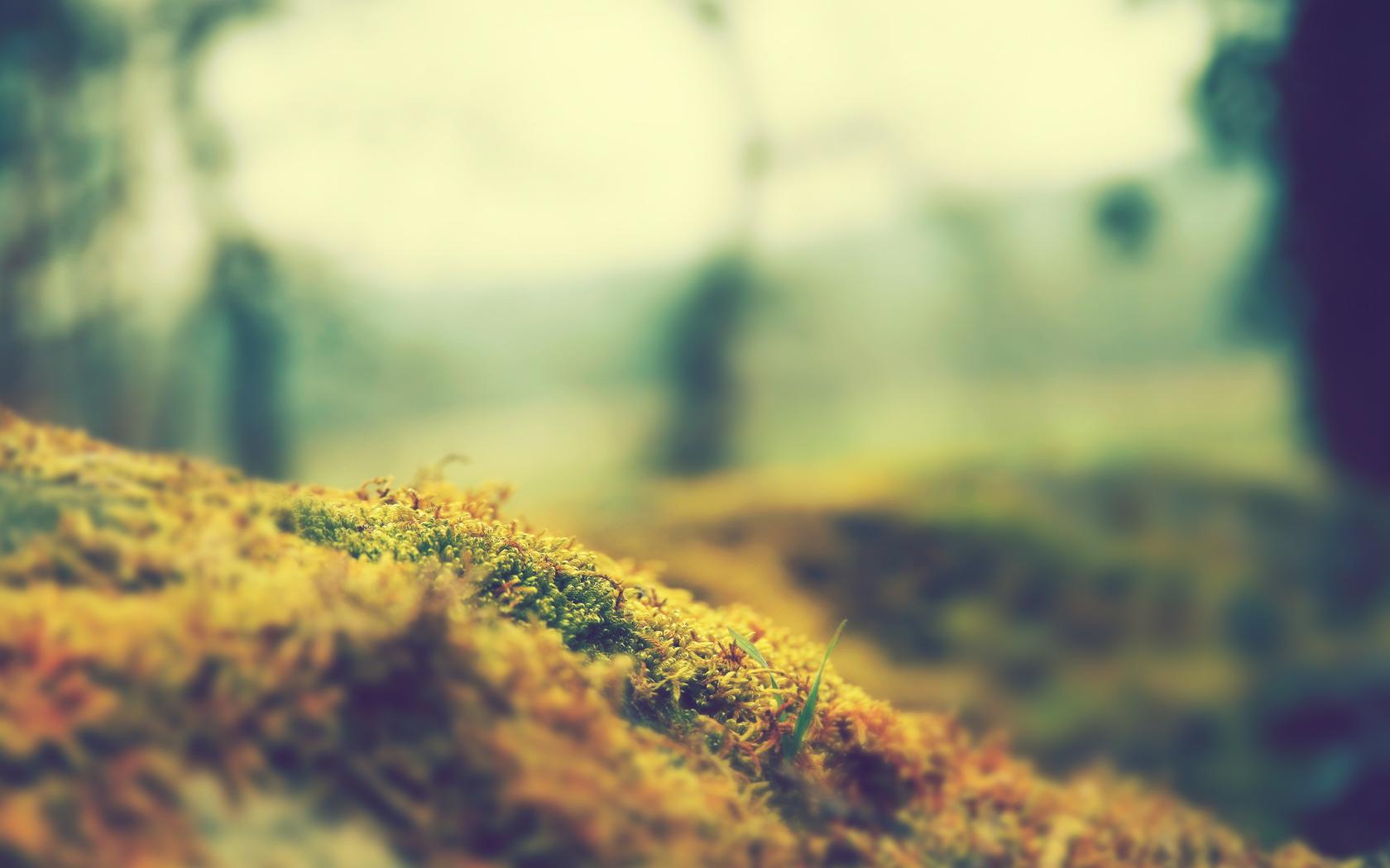 AboutMe banner for @fgf