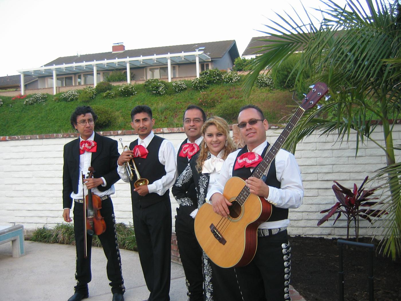 AboutMe banner for @mariachi