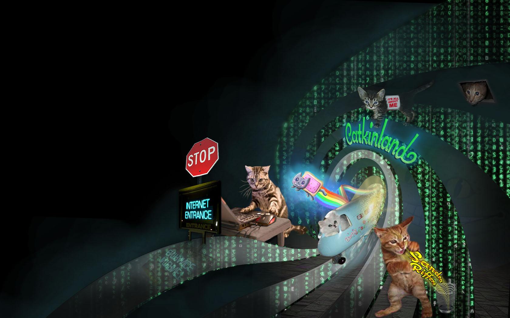 AboutMe banner for @Riff