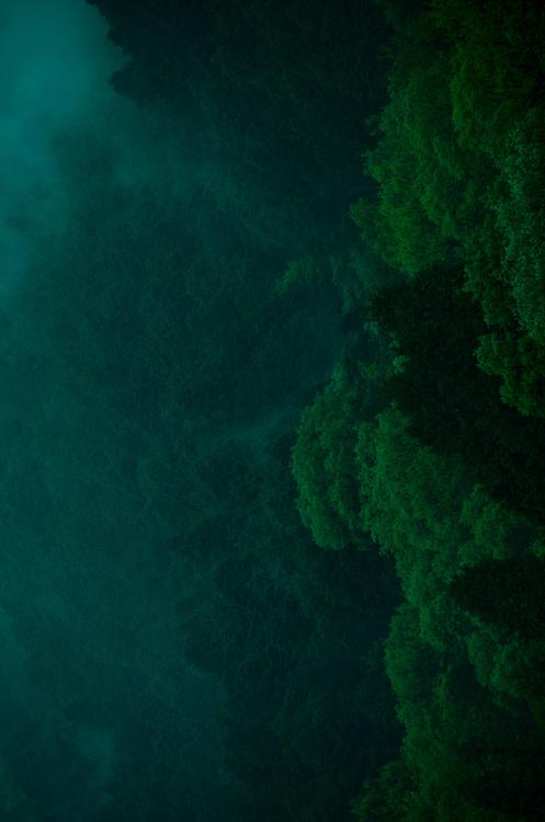 AboutMe banner for @sheep