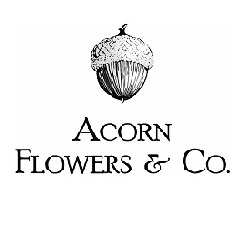 AboutMe banner for @acorn