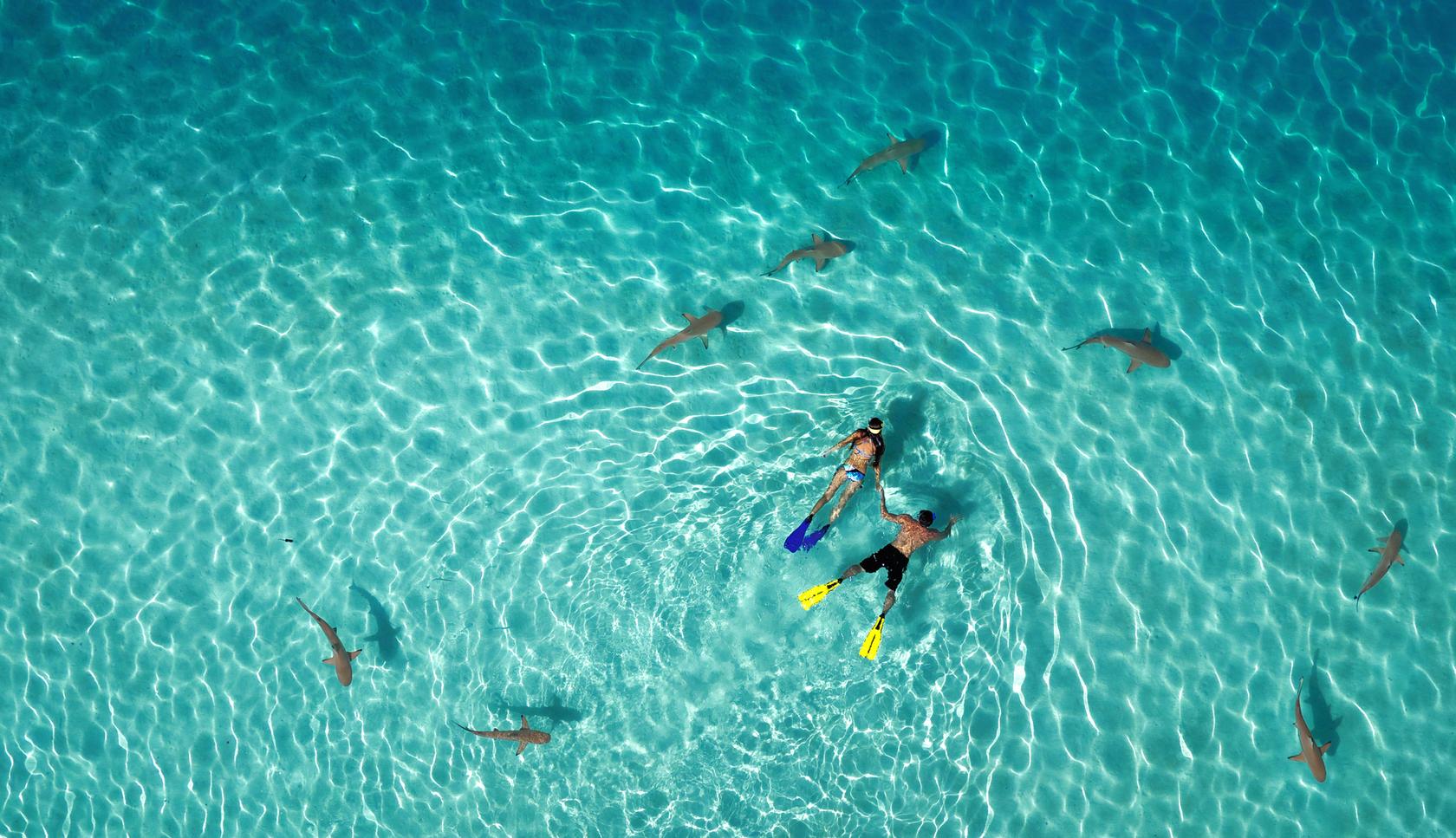 AboutMe banner for @Alexander