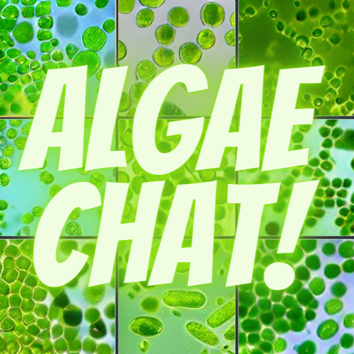 AboutMe banner for @algae