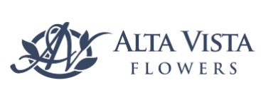 AboutMe banner for @altavista
