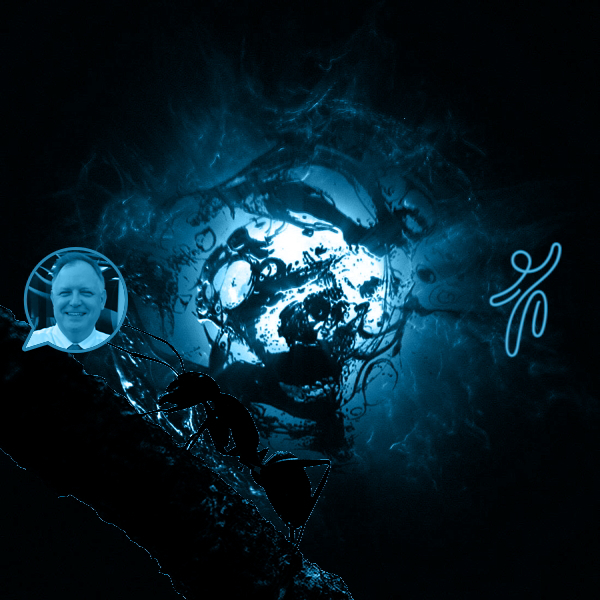 AboutMe banner for @ant