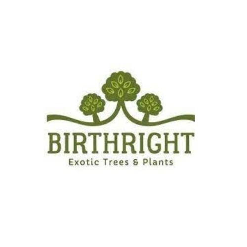 AboutMe banner for @birthright