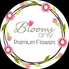 AboutMe banner for @blooms
