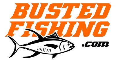 AboutMe banner for @busted