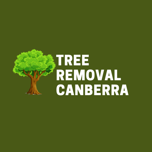 AboutMe banner for @canberra