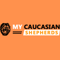 AboutMe banner for @caucasian
