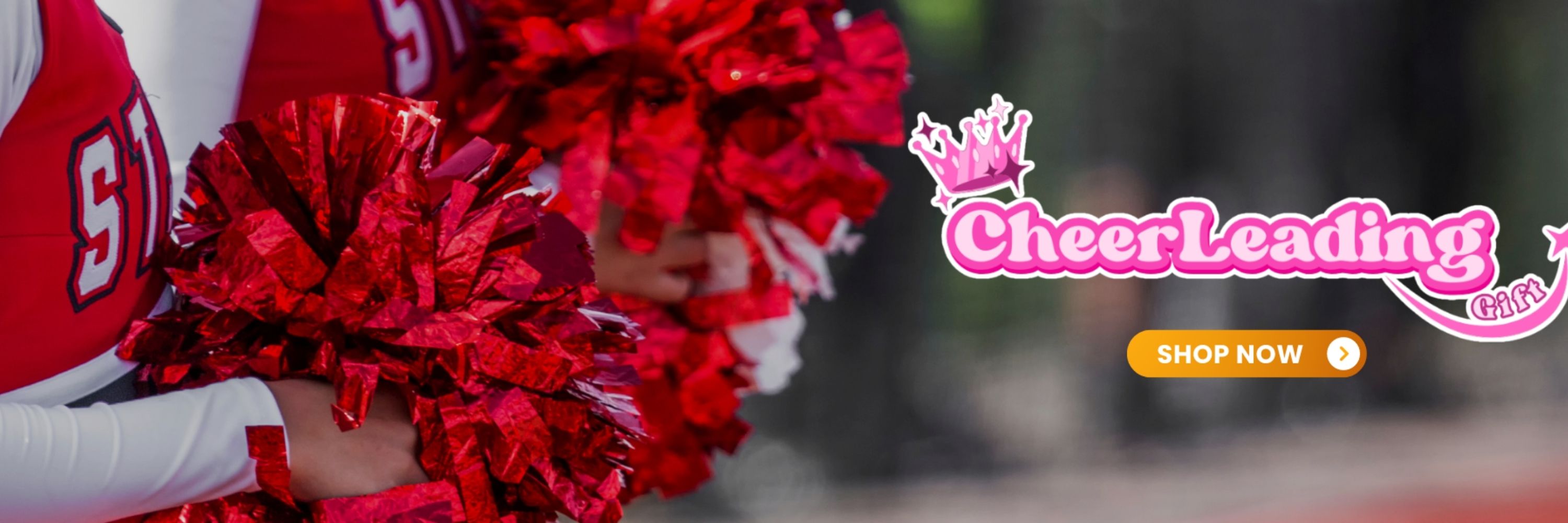 AboutMe banner for @cheerleading