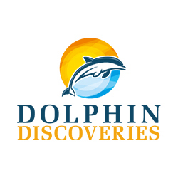 AboutMe banner for @discoveries