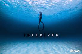 AboutMe banner for @divers