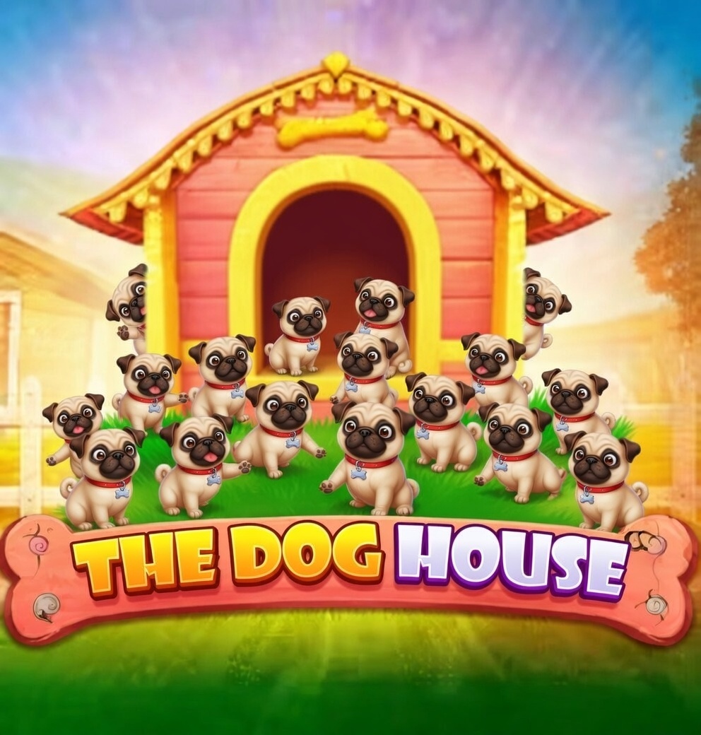AboutMe banner for @doghouse