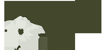 AboutMe banner for @dogwood