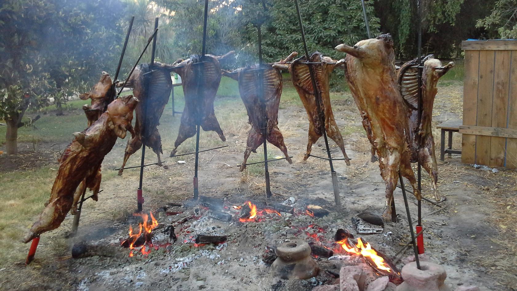 Don Luis Asado Patagónico - Ubicados en la Comuna de Padre Hurtado,  donluisasadopatagonico@gmail.com | about.me