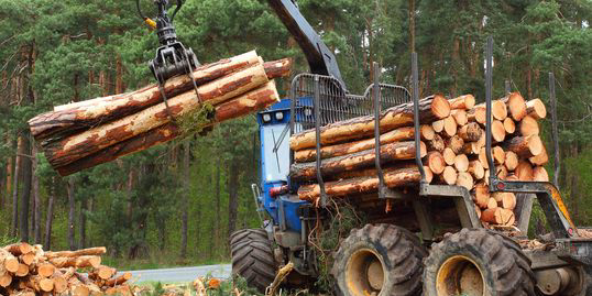 AboutMe banner for @doug