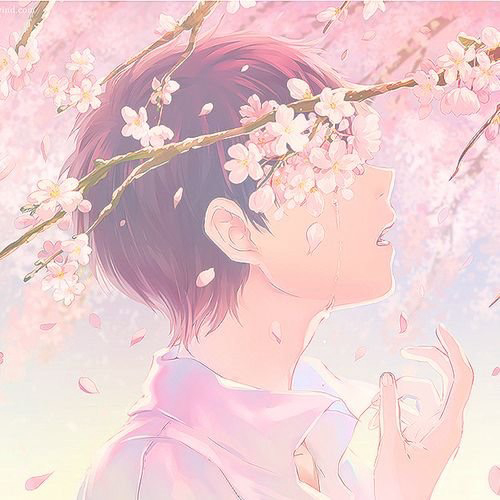AboutMe banner for @dreaming
