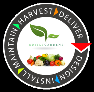 AboutMe banner for @edible