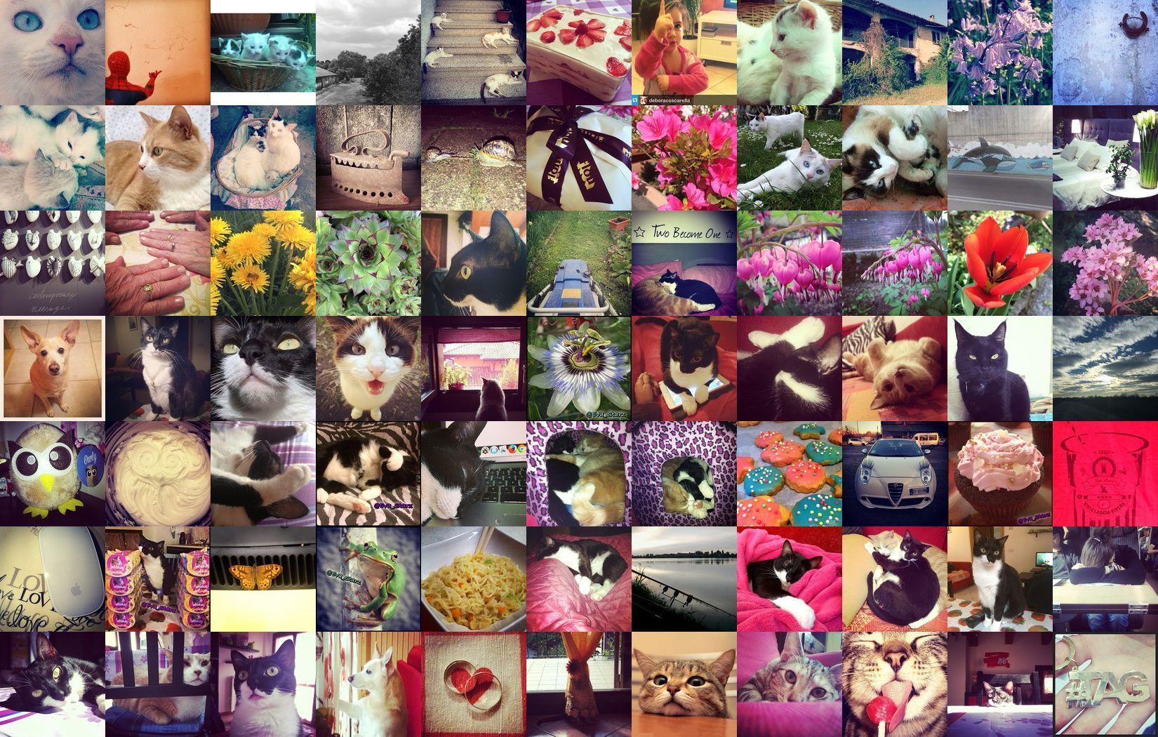 AboutMe banner for @Eva