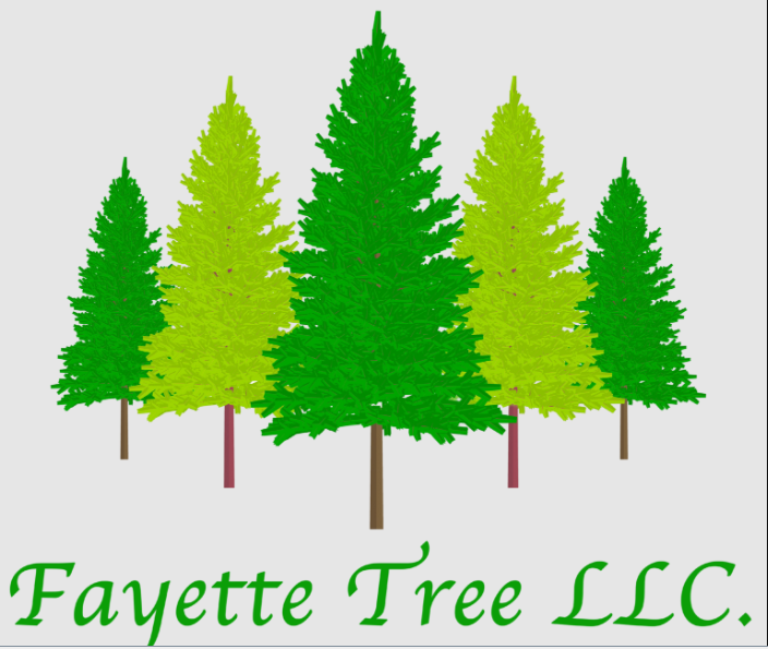 AboutMe banner for @fayette