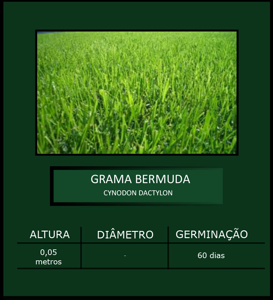 AboutMe banner for @flavia