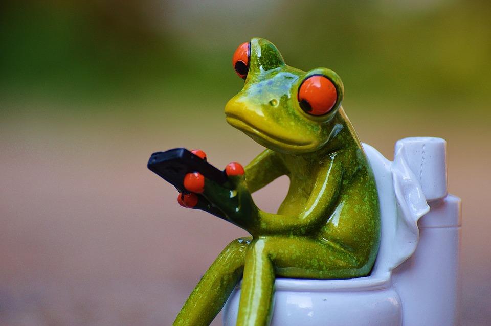 AboutMe banner for @frogs