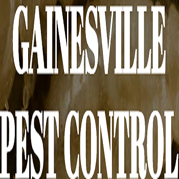 AboutMe banner for @gainesville