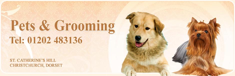 AboutMe banner for @grooming