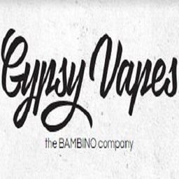 elfbar elfa kaufen gypsy vapes