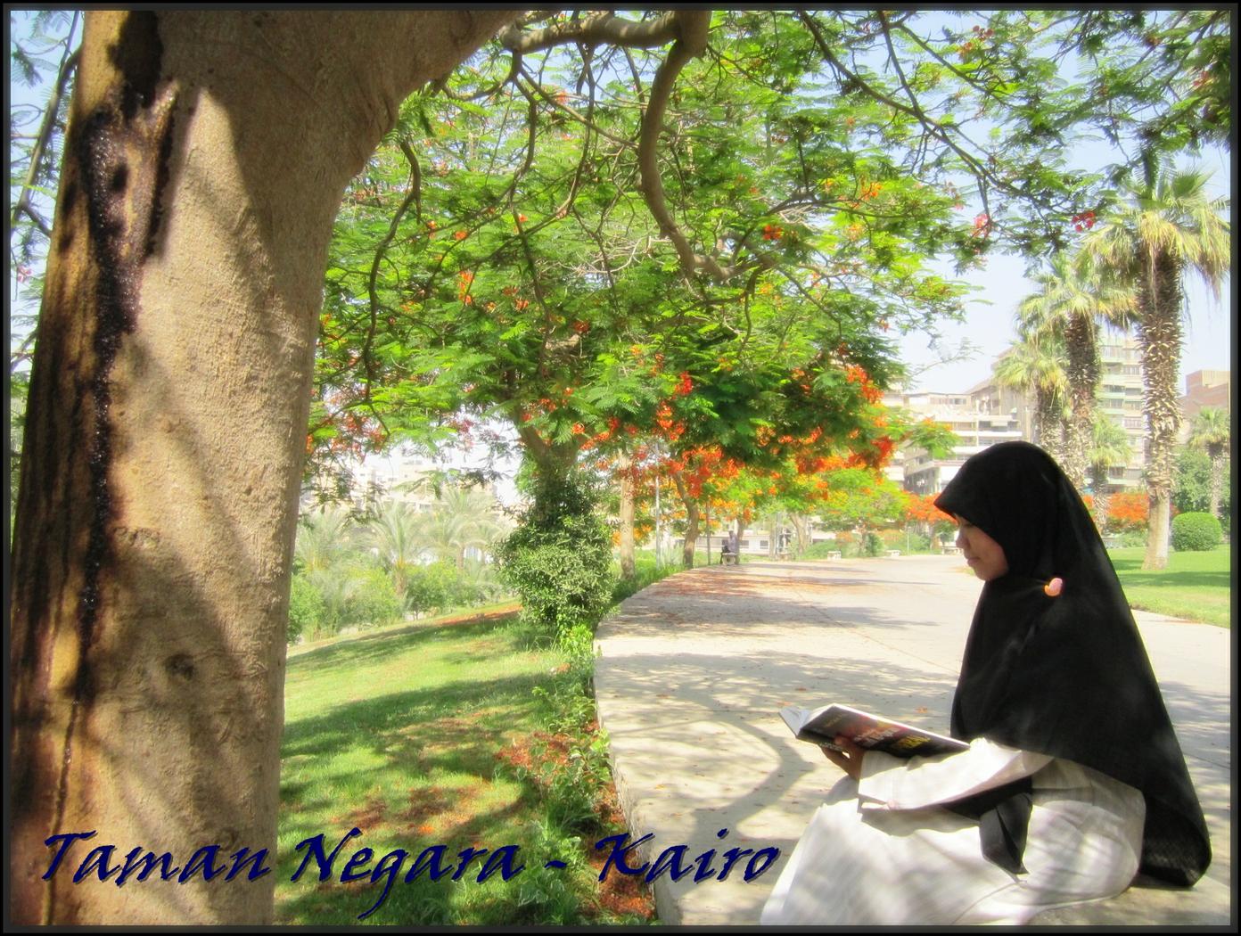 AboutMe banner for @halimah