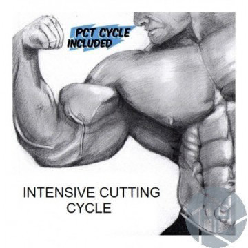 AboutMe banner for @intensive