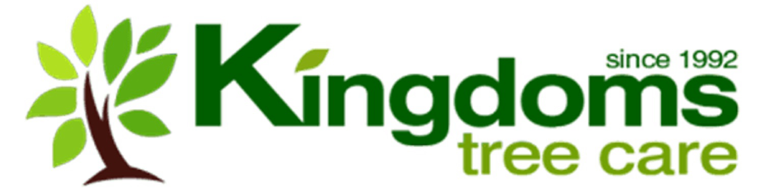 AboutMe banner for @kingdoms