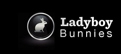 AboutMe banner for @ladyboy