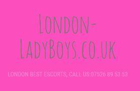 AboutMe banner for @ladyboys