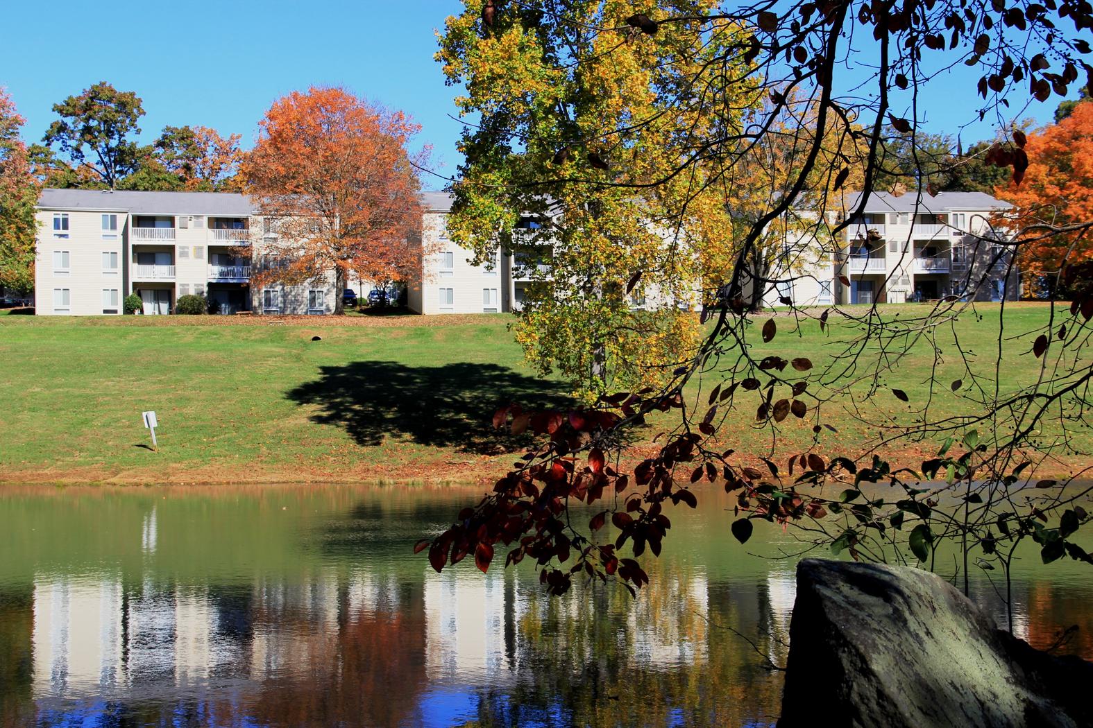 LANGLEY RENTALS Lynchburg, VA Blue Means Better!