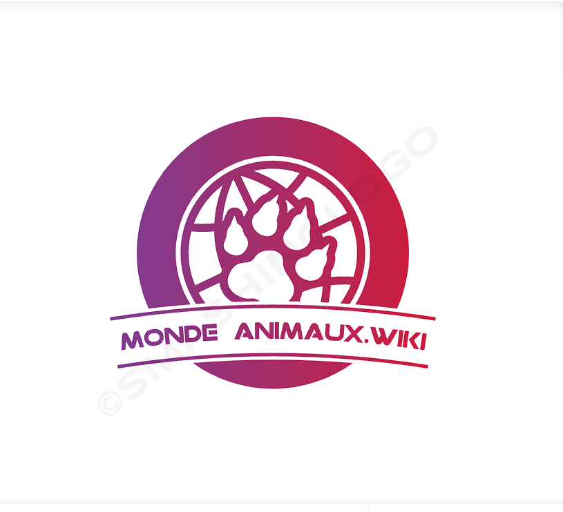 AboutMe banner for @monde