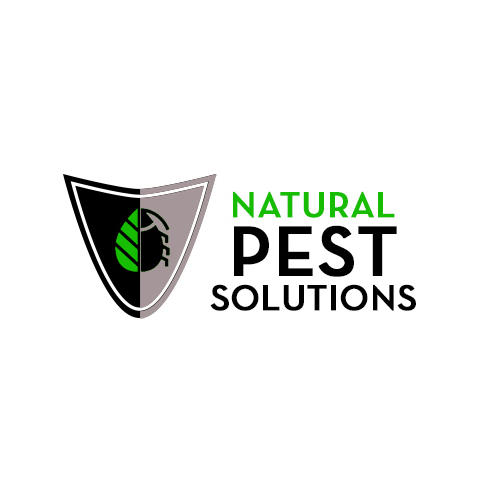 AboutMe banner for @naturals