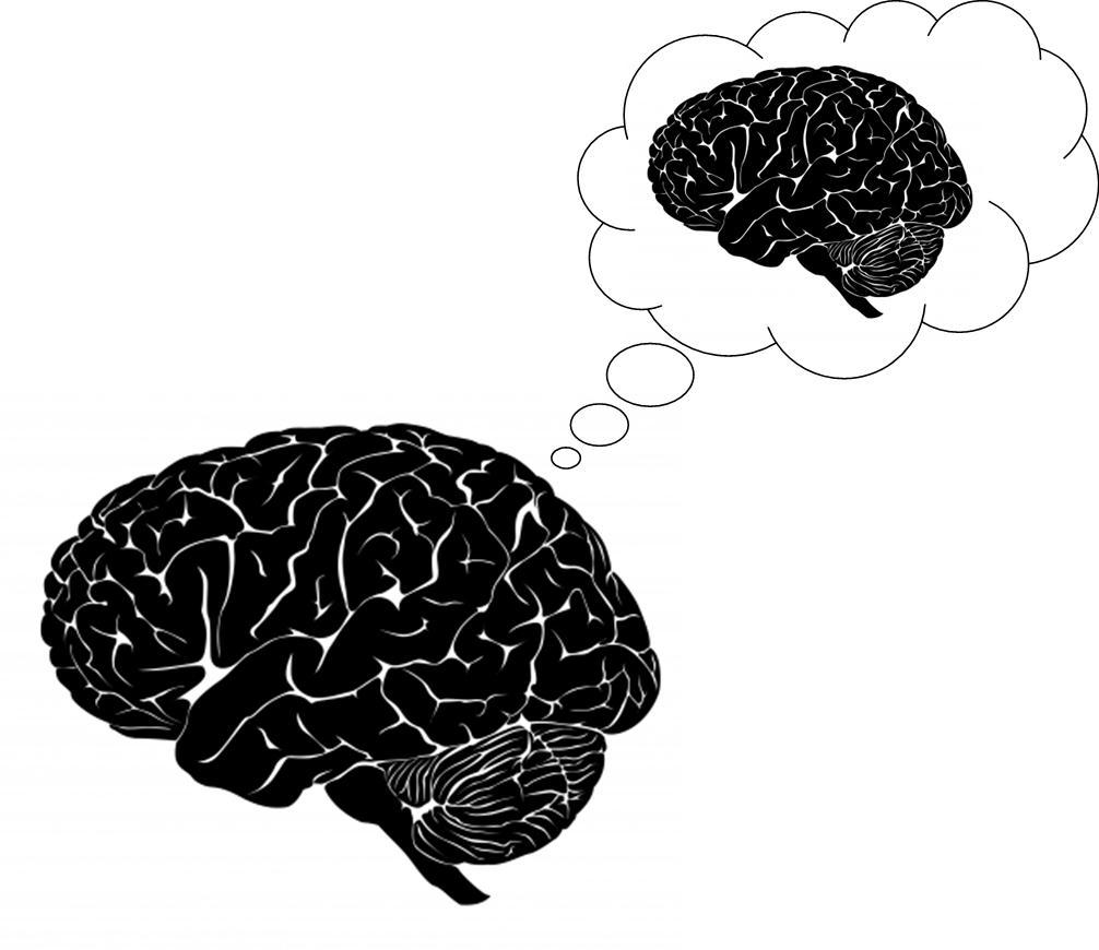 AboutMe banner for @neuroscience