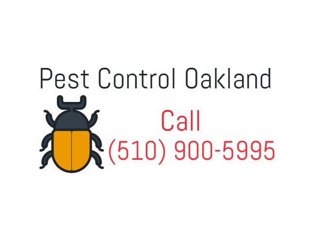 AboutMe banner for @oakland