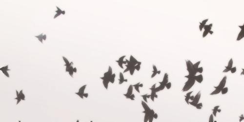 AboutMe banner for @obey