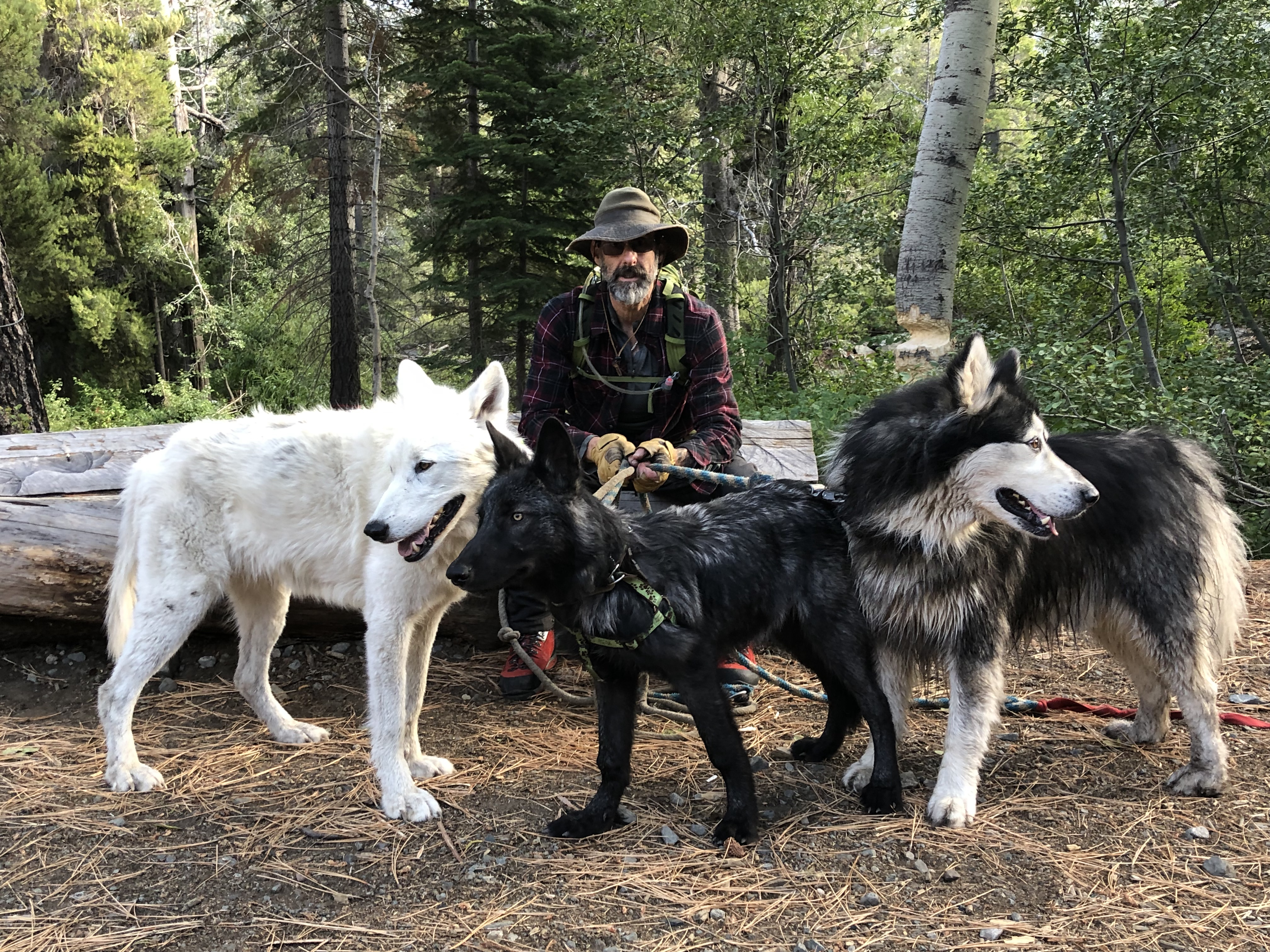 Oliver Starr - South Lake Tahoe, CA | about.me