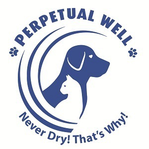 AboutMe banner for @perpetual
