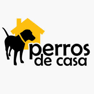 AboutMe banner for @perros