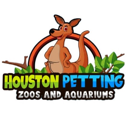 AboutMe banner for @petting