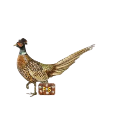 AboutMe banner for @pheasant