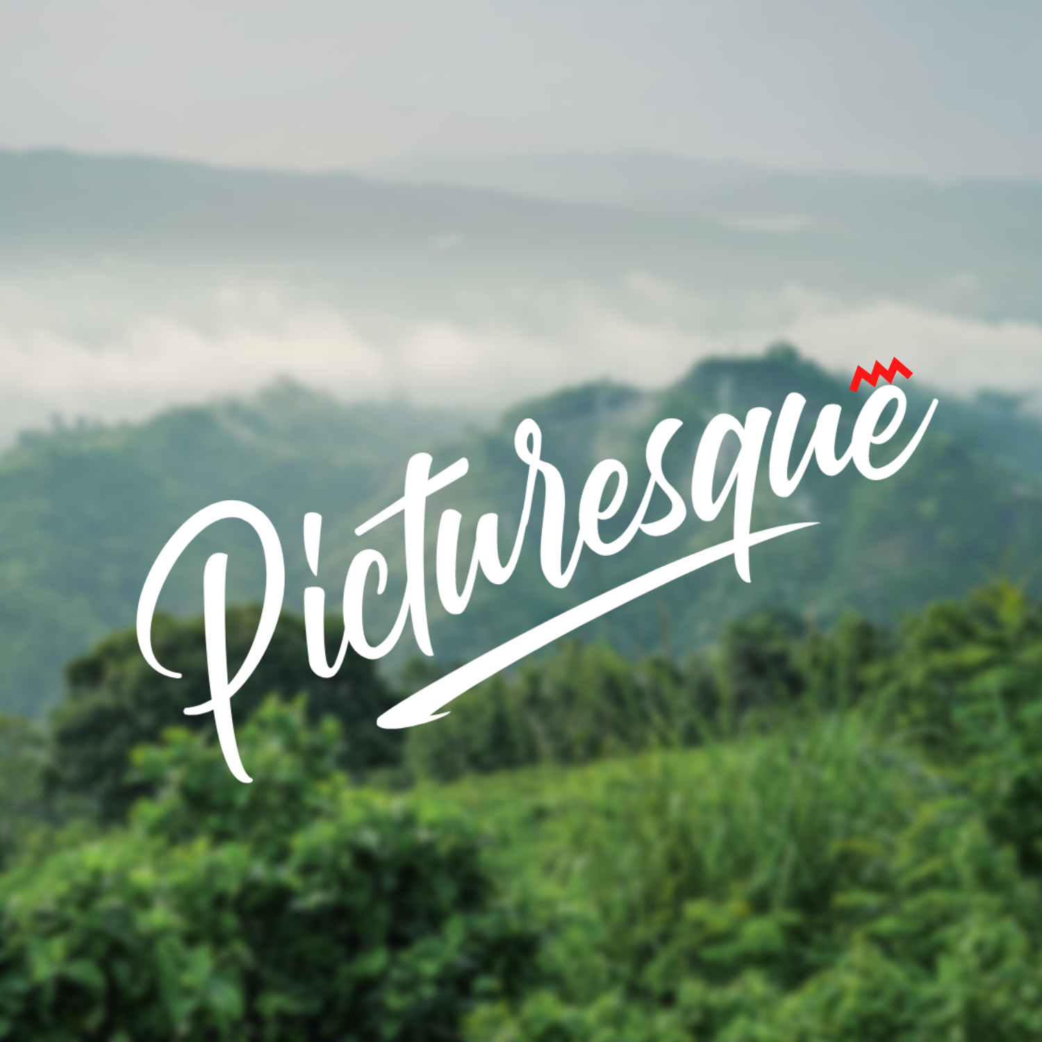 AboutMe banner for @picturesque