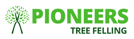 AboutMe banner for @pioneers